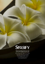 Load image into Gallery viewer, Company Profile Brochure