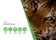 Load image into Gallery viewer, Company Profile Brochure