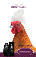 Load image into Gallery viewer, Graphic Design